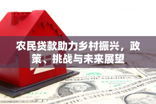 岳麓农民贷款助力乡村振兴，政策、挑战与未来展望