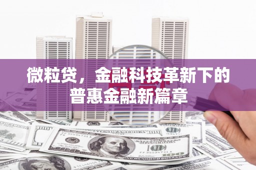 岳麓微粒贷，金融科技革新下的普惠金融新篇章
