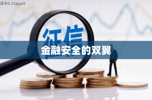 岳麓金融安全的双翼