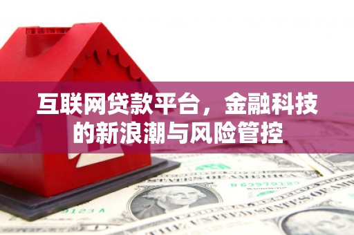 岳麓互联网贷款平台，金融科技的新浪潮与风险管控