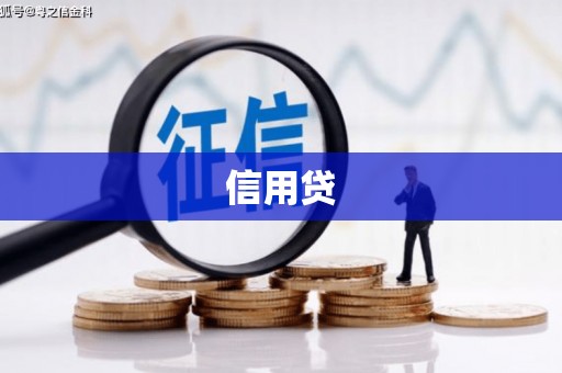 岳麓信用贷