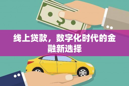 岳麓线上贷款，数字化时代的金融新选择