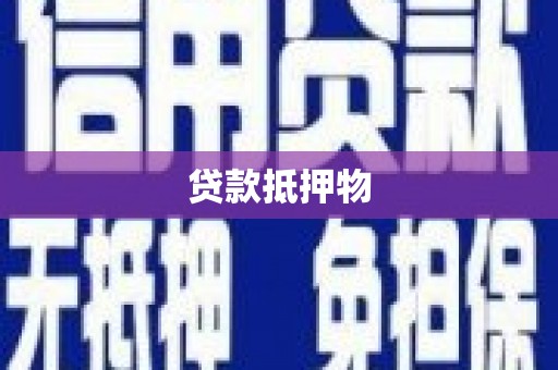 岳麓贷款抵押物