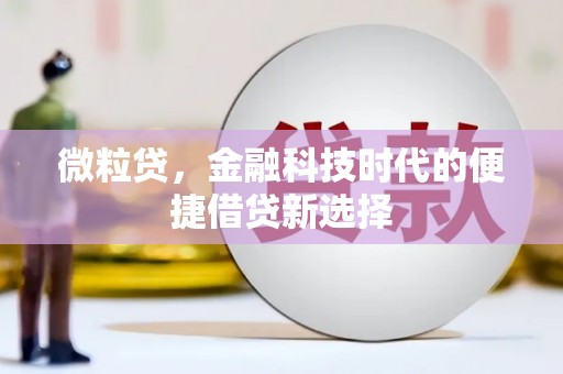 岳麓微粒贷，金融科技时代的便捷借贷新选择