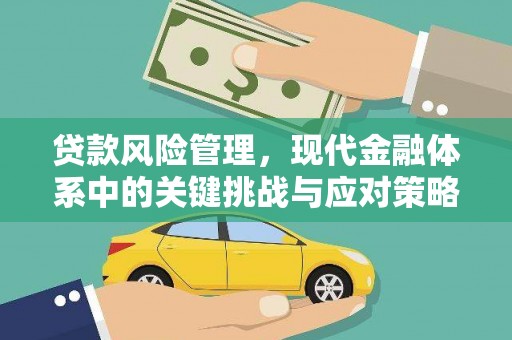岳麓贷款风险管理，现代金融体系中的关键挑战与应对策略
