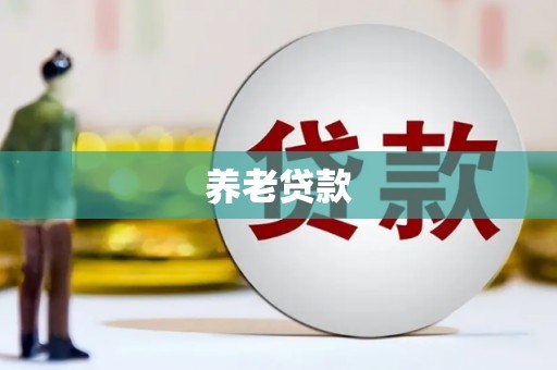 岳麓养老贷款