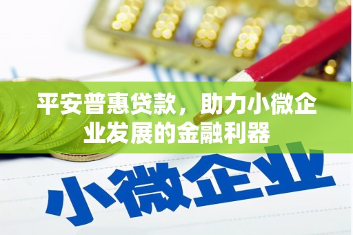 岳麓平安普惠贷款，助力小微企业发展的金融利器