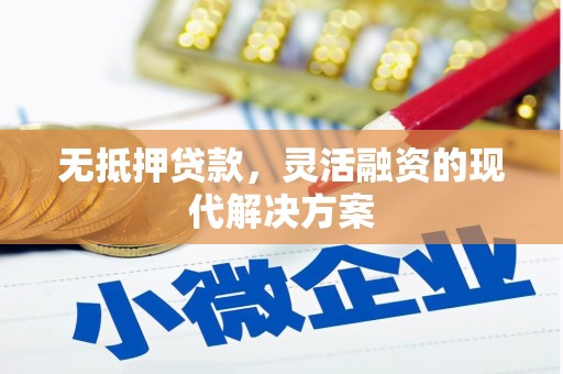 岳麓无抵押贷款，灵活融资的现代解决方案