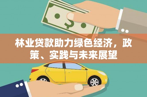 岳麓林业贷款助力绿色经济，政策、实践与未来展望