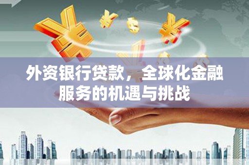 岳麓外资银行贷款，全球化金融服务的机遇与挑战