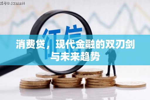 岳麓消费贷，现代金融的双刃剑与未来趋势