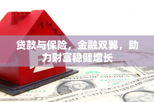 岳麓贷款与保险，金融双翼，助力财富稳健增长