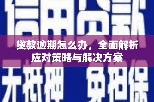 岳麓贷款逾期怎么办，全面解析应对策略与解决方案