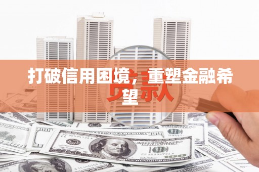 岳麓打破信用困境，重塑金融希望