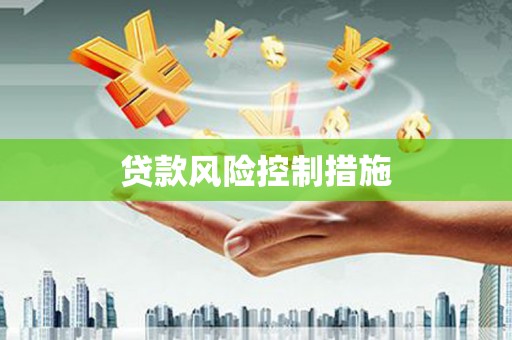 岳麓贷款风险控制措施