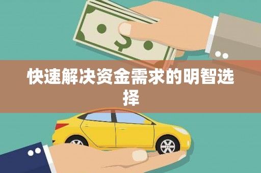 岳麓快速解决资金需求的明智选择