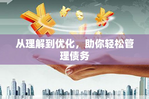 岳麓从理解到优化，助你轻松管理债务
