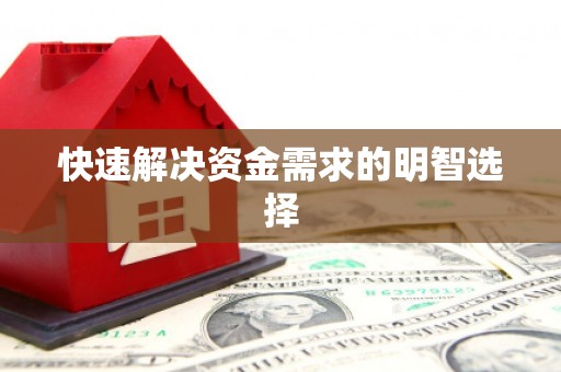 岳麓快速解决资金需求的明智选择