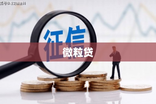 岳麓微粒贷