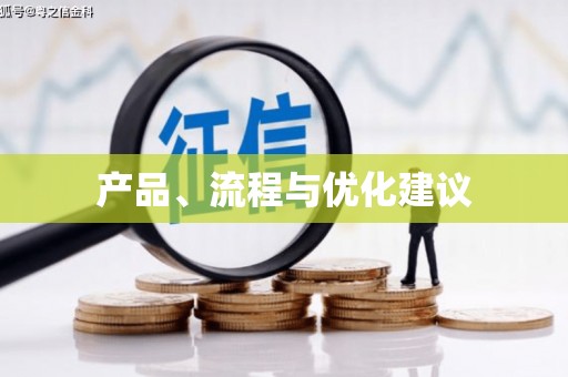 岳麓产品、流程与优化建议