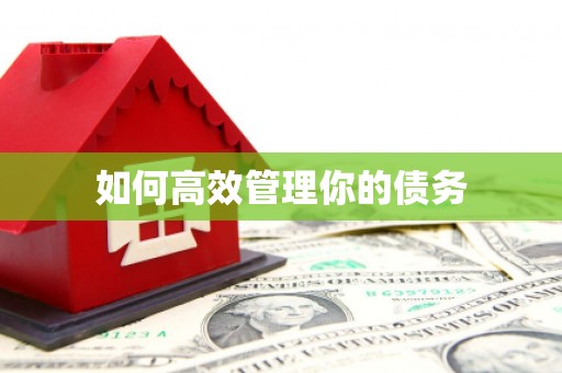 岳麓如何高效管理你的债务