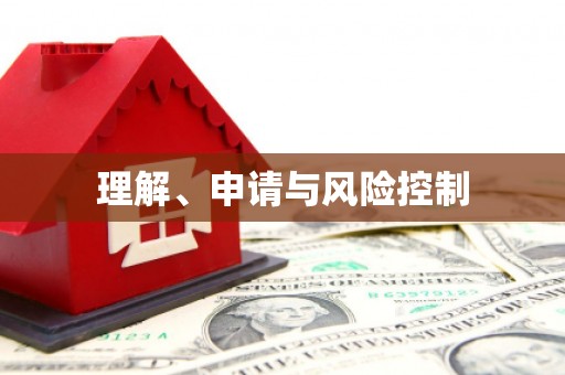 岳麓理解、申请与风险控制