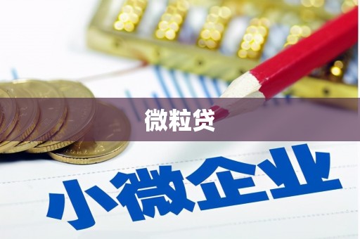岳麓微粒贷