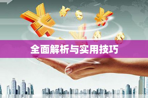 岳麓全面解析与实用技巧