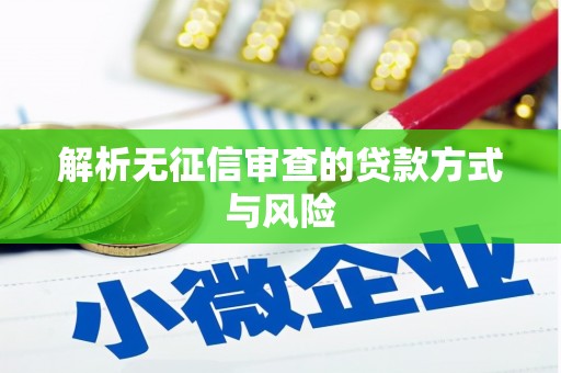 岳麓解析无征信审查的贷款方式与风险
