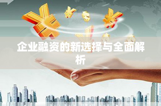 岳麓企业融资的新选择与全面解析