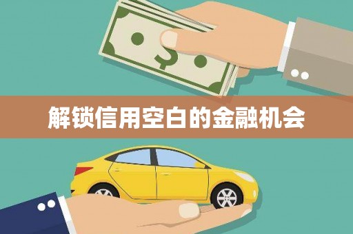 岳麓解锁信用空白的金融机会