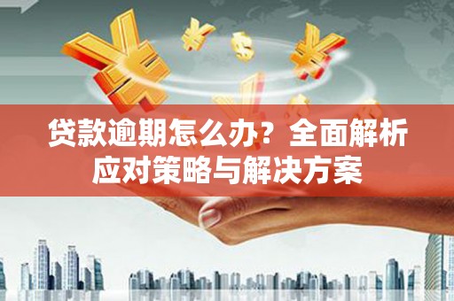 岳麓贷款逾期怎么办？全面解析应对策略与解决方案