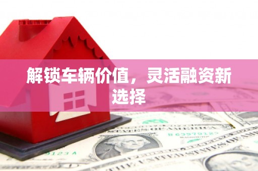 岳麓解锁车辆价值，灵活融资新选择