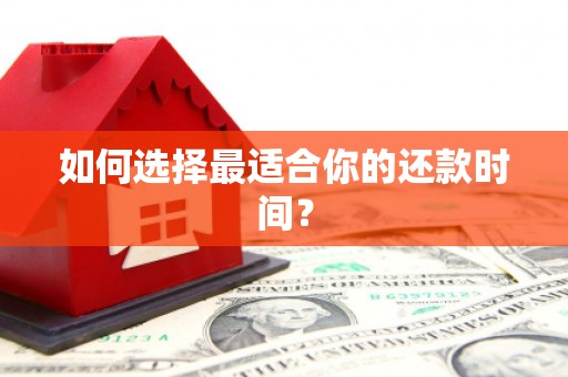 岳麓如何选择最适合你的还款时间？