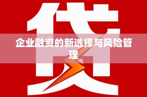 岳麓企业融资的新选择与风险管理