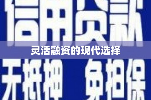 岳麓灵活融资的现代选择