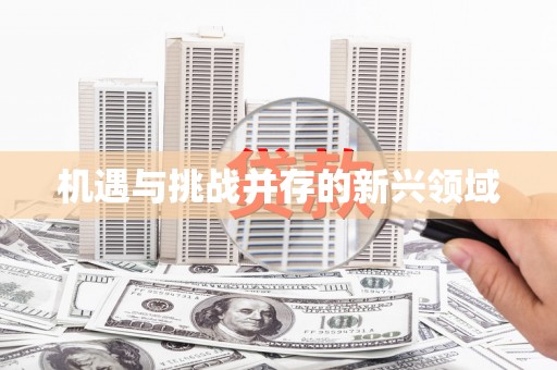 岳麓机遇与挑战并存的新兴领域
