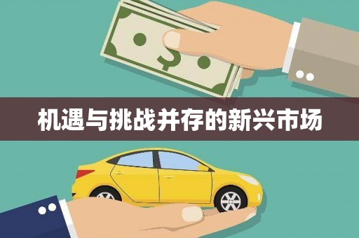 岳麓机遇与挑战并存的新兴市场
