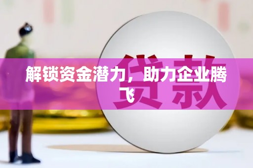 岳麓解锁资金潜力，助力企业腾飞