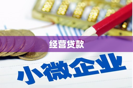 岳麓经营贷款