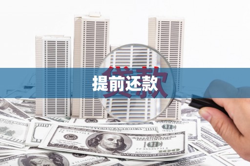 岳麓提前还款