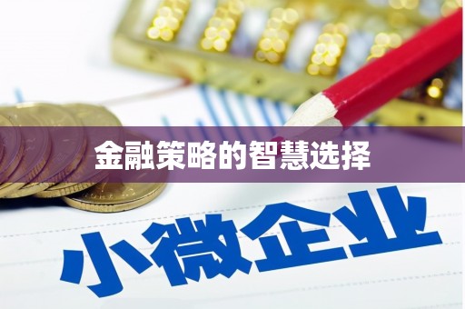 岳麓金融策略的智慧选择