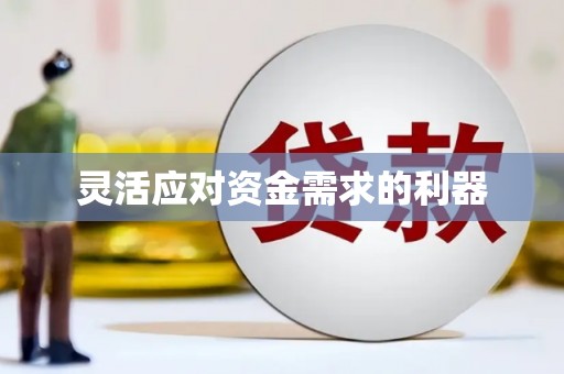 岳麓灵活应对资金需求的利器