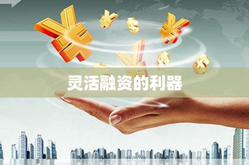 岳麓灵活融资的利器