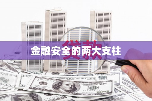 岳麓金融安全的两大支柱