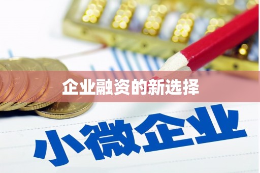 岳麓企业融资的新选择
