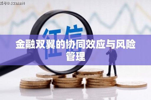 岳麓金融双翼的协同效应与风险管理