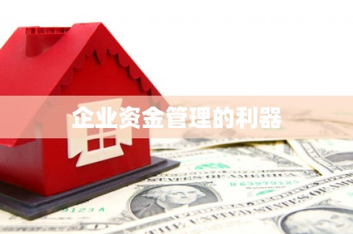 岳麓企业资金管理的利器