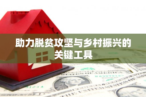 岳麓助力脱贫攻坚与乡村振兴的关键工具