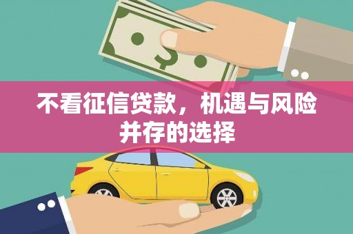 岳麓不看征信贷款，机遇与风险并存的选择